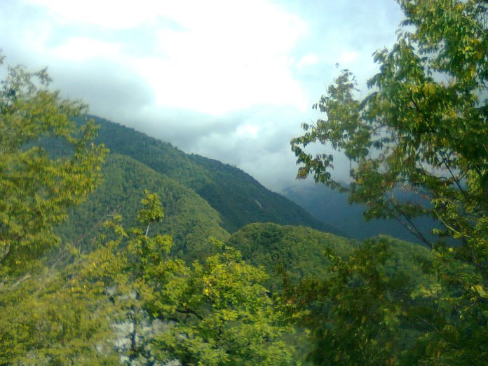 Şəki