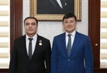 Məmmədov qardaşlarının qazandığı hörmətə ləkə salmaq görəsən kimə xeyir gətirəcək?! — Bir yazıya münasibət