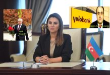 Deputat Sevinc Fətəliyeva məhkəmə-hüquq sisteminin işinə necə müdaxilə edir?-ARAŞDIRMA