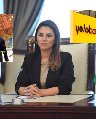 Deputat Sevinc Fətəliyeva məhkəmə-hüquq sisteminin işinə necə müdaxilə edir?-ARAŞDIRMA